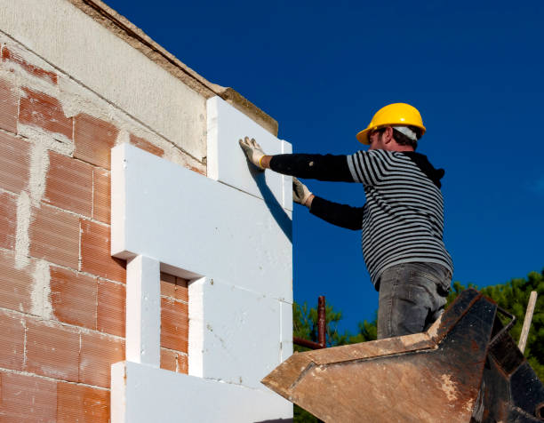 Best Insulation Installation Services in Warren, IL