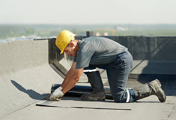 Best Insulation Maintenance and Repair in Warren, IL